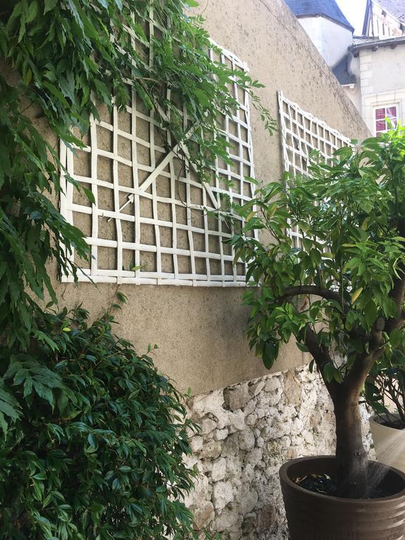 Maison Josephine Avec Garage Prive Blois Eksteriør bilde